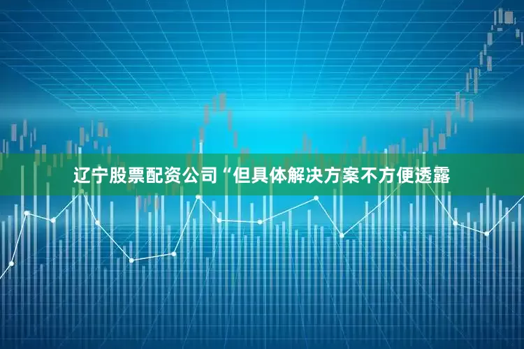 辽宁股票配资公司“但具体解决方案不方便透露