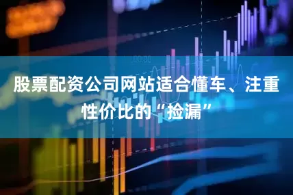 股票配资公司网站适合懂车、注重性价比的“捡漏”