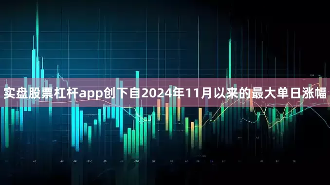 实盘股票杠杆app创下自2024年11月以来的最大单日涨幅